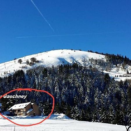 דירות Muhlbach-sur-Munster Le Montagnard Au Pied Des Pistes, Station Du Gaschney, Altitude 1000 M מראה חיצוני תמונה