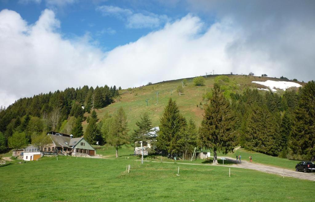 דירות Muhlbach-sur-Munster Le Montagnard Au Pied Des Pistes, Station Du Gaschney, Altitude 1000 M מראה חיצוני תמונה