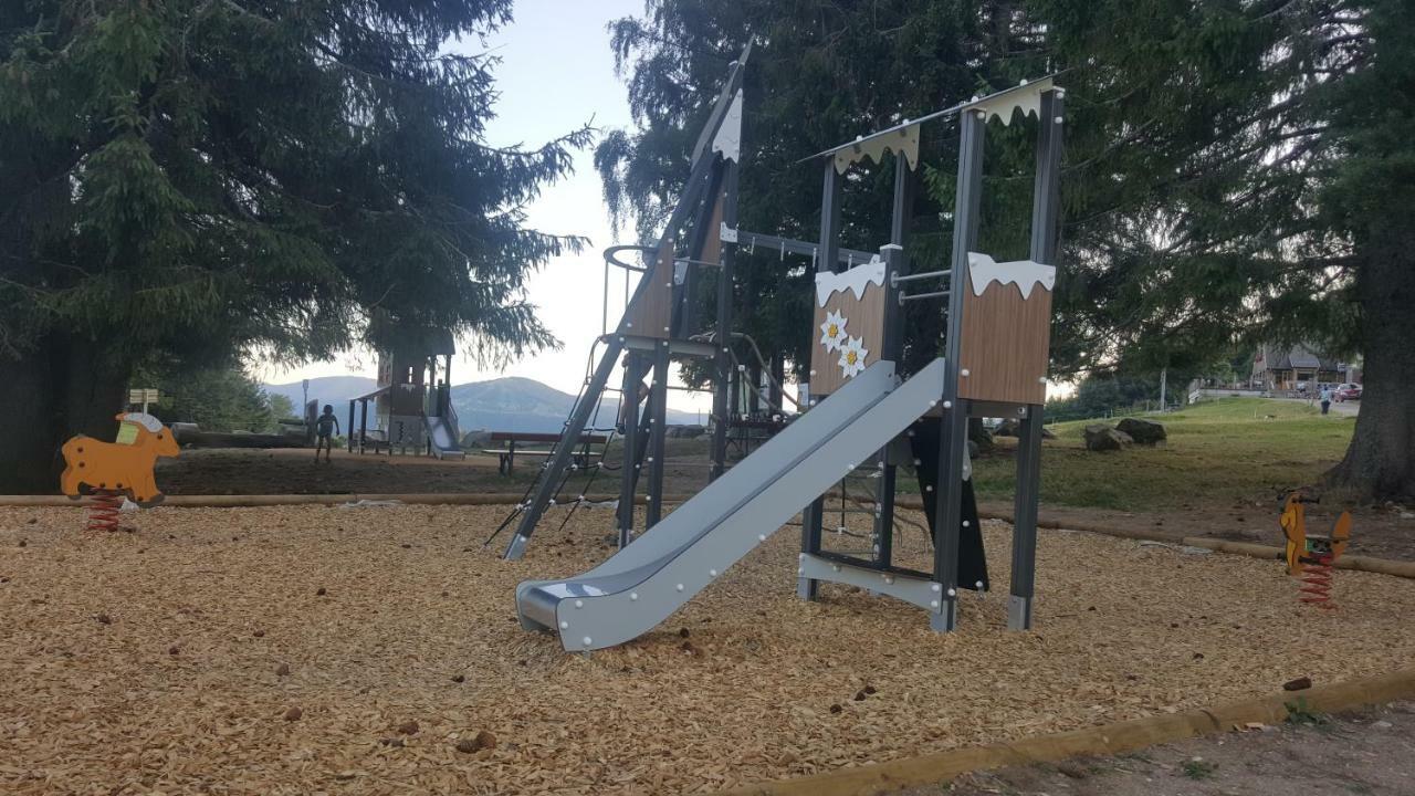 דירות Muhlbach-sur-Munster Le Montagnard Au Pied Des Pistes, Station Du Gaschney, Altitude 1000 M מראה חיצוני תמונה