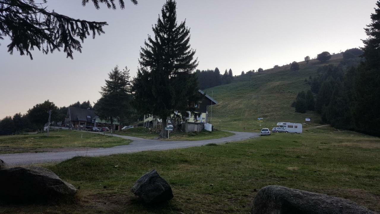 דירות Muhlbach-sur-Munster Le Montagnard Au Pied Des Pistes, Station Du Gaschney, Altitude 1000 M מראה חיצוני תמונה