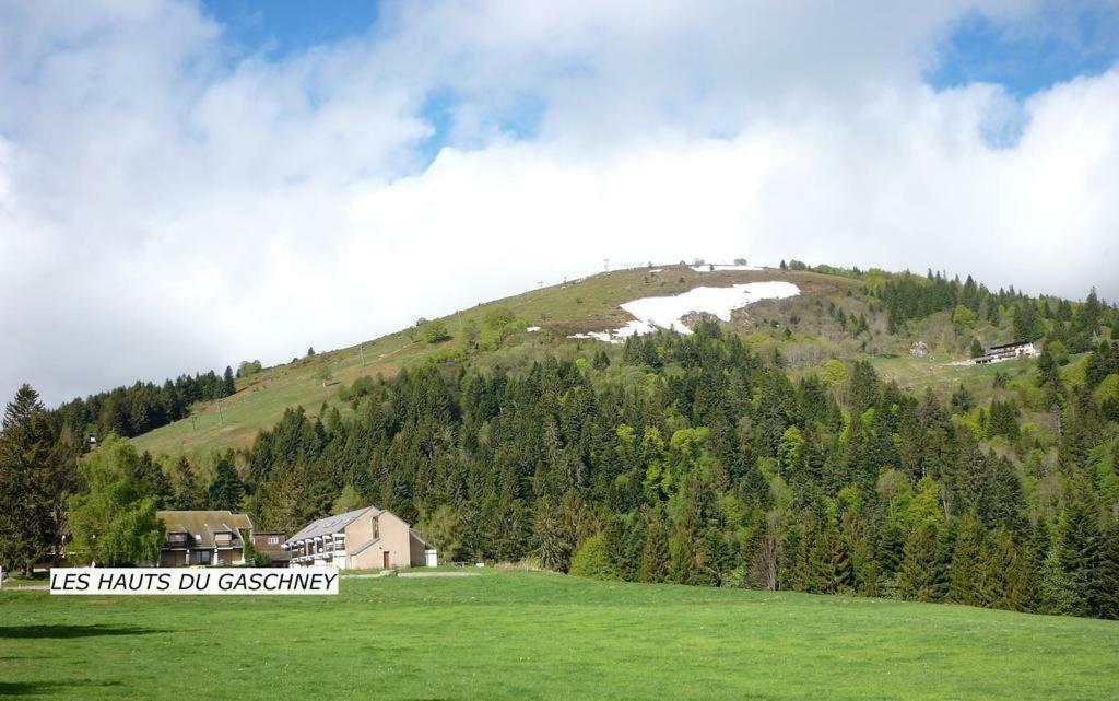 דירות Muhlbach-sur-Munster Le Montagnard Au Pied Des Pistes, Station Du Gaschney, Altitude 1000 M מראה חיצוני תמונה