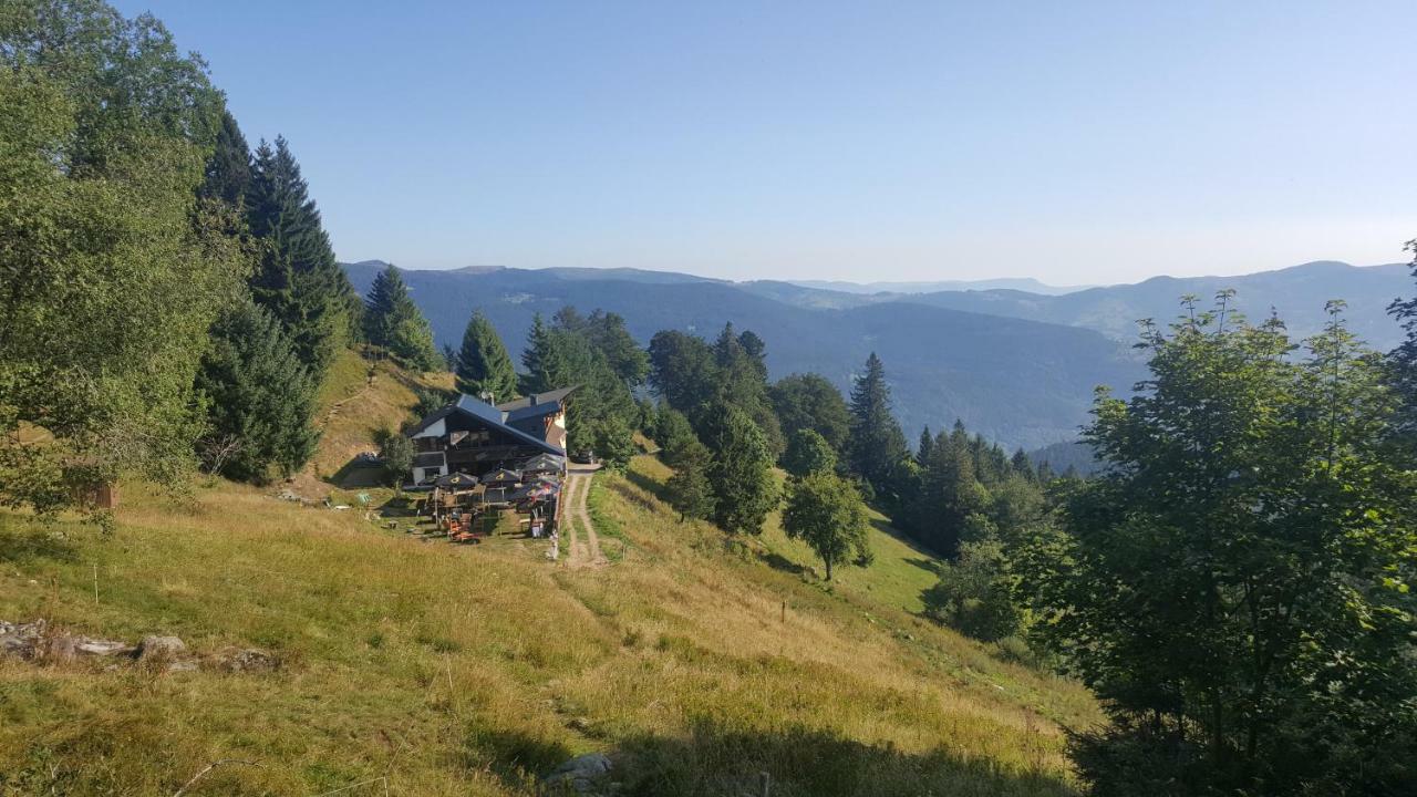 דירות Muhlbach-sur-Munster Le Montagnard Au Pied Des Pistes, Station Du Gaschney, Altitude 1000 M מראה חיצוני תמונה