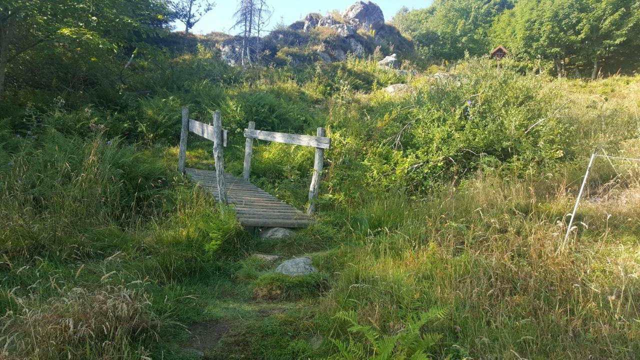 דירות Muhlbach-sur-Munster Le Montagnard Au Pied Des Pistes, Station Du Gaschney, Altitude 1000 M מראה חיצוני תמונה