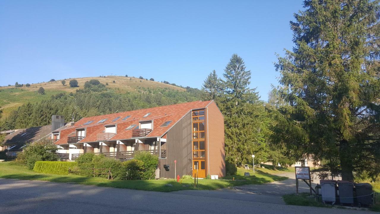דירות Muhlbach-sur-Munster Le Montagnard Au Pied Des Pistes, Station Du Gaschney, Altitude 1000 M מראה חיצוני תמונה