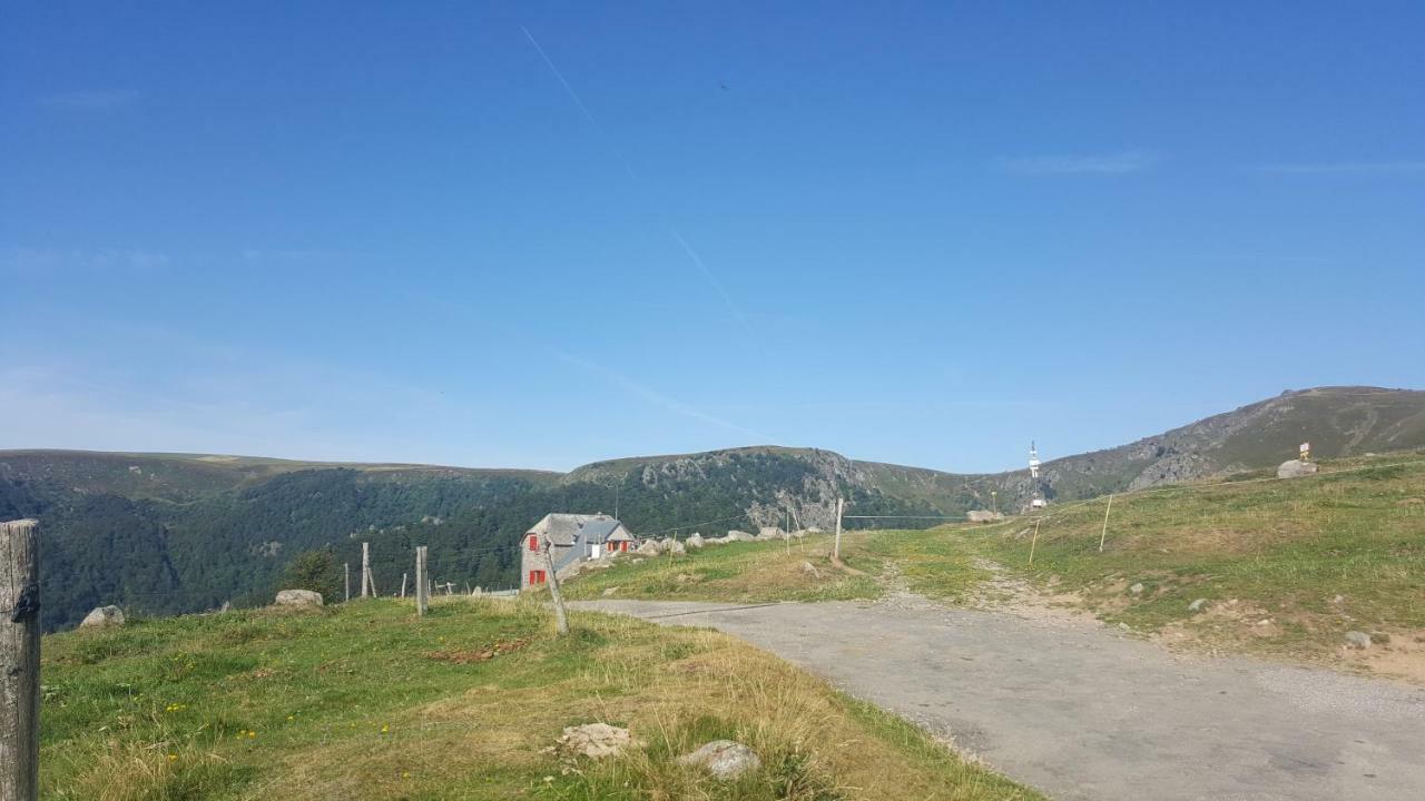 דירות Muhlbach-sur-Munster Le Montagnard Au Pied Des Pistes, Station Du Gaschney, Altitude 1000 M מראה חיצוני תמונה